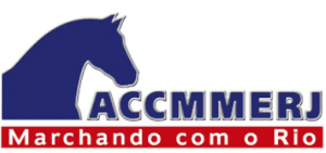 ACCMMERJ