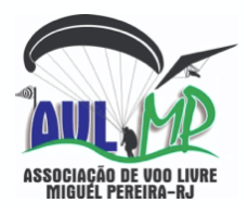AVLMP